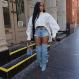 Women Autumn/Winter Collared Buttoned Lantern Sleeve Long-Sleeved Shirt