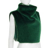 Women Fall/Winter Solid Furry Sleeveless Top