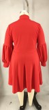 Plus Size Women's tied Neck Puff Long Sleeve A-line Dress