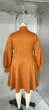 Plus Size Women's tied Neck Puff Long Sleeve A-line Dress