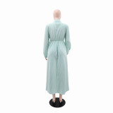 Women's Striped Long Sleeve Turndown Collar Elegant Casual Belted Long Dress