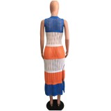 Women's Fishnet Color Block Sleeveless Slit Sexy Casual Beach Dress