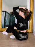 Autumn Women's Sport Casual Two Piece Tracksuits