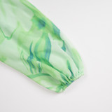 Elegant Long Dress Pleated African Plus Size Women's Print Chiffon Dress