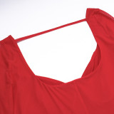 Women Fall Sexy Plunging Mesh Long-Sleeved Maxi Dress