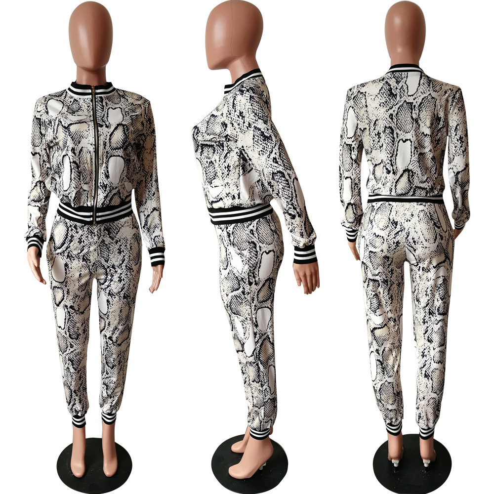 Women Printed Two-Piece Top and Pant Set