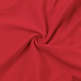 Women Fall Sexy Plunging Mesh Long-Sleeved Maxi Dress