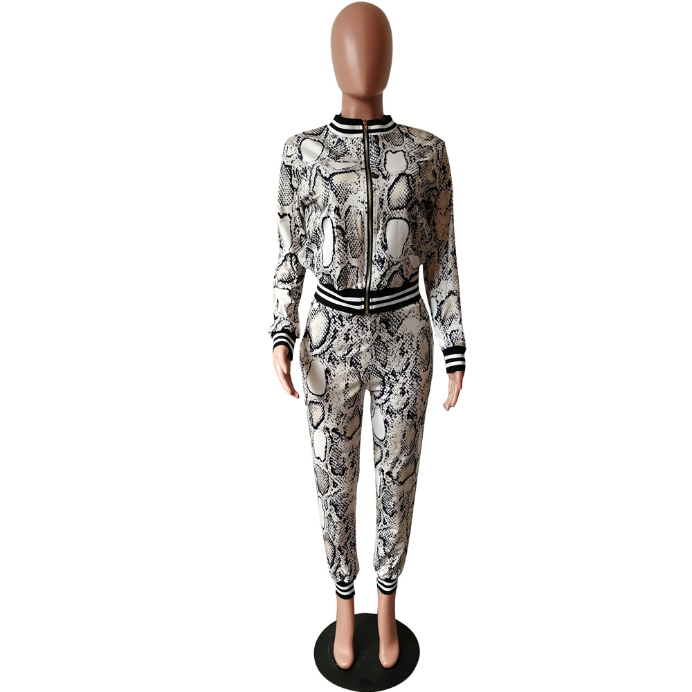 Women Printed Two-Piece Top and Pant Set