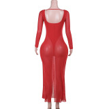 Women Fall Sexy Plunging Mesh Long-Sleeved Maxi Dress