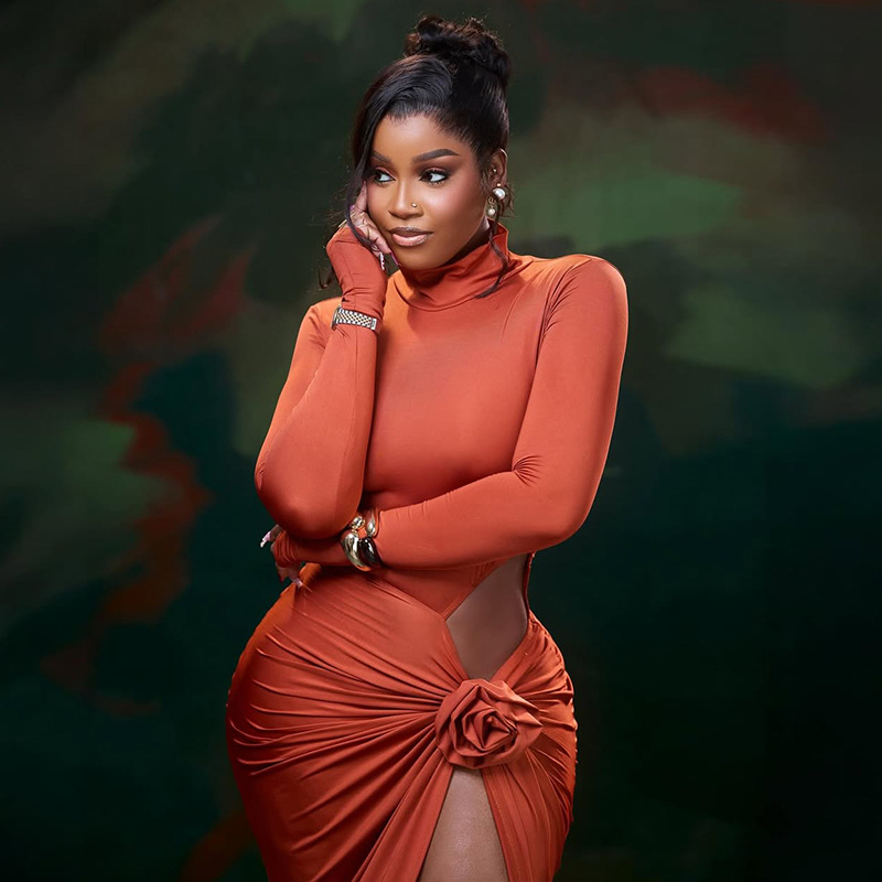 Women's Floral Ruffle Slit Stand Collar Hollow-Out Slim-Fitting Long Sleeve Solid Long Dress