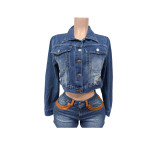 Women Embroidered Butterfly Appliqué Long-Sleeved Denim Embroidered Top