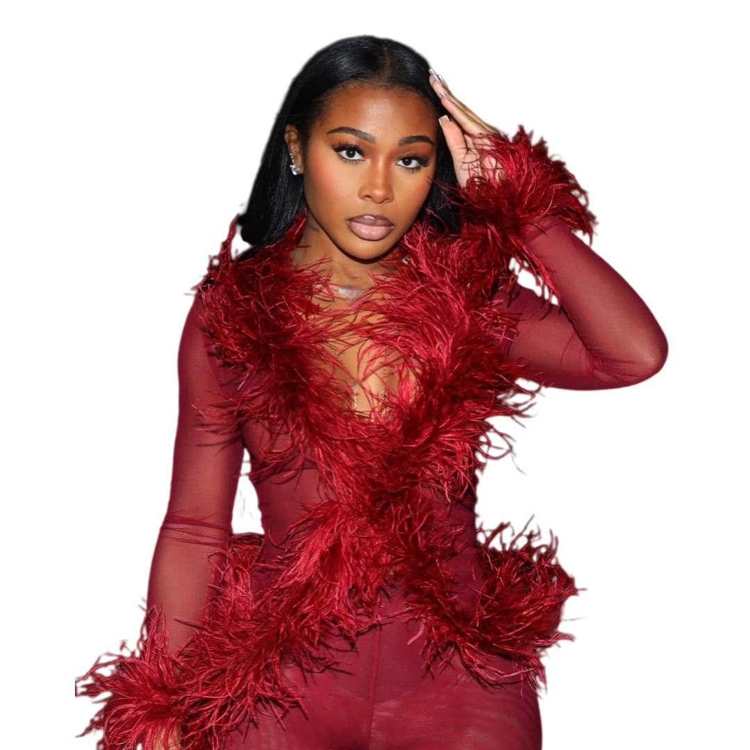 Women Sexy Mesh Feather Tassel Top and Pants Two-Piece Set