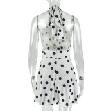 Women Pleated Waist Polka Dot Print Halter Neck Dress
