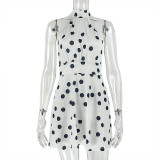 Women Pleated Waist Polka Dot Print Halter Neck Dress