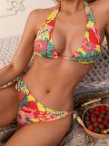 Women Printed Halter Neck Lace-Up Backless Sexy Two-Piece Swimwear