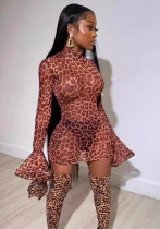 Women Sexy See-Through Leopard Print Mesh Bodycon Dress Women Sexy See-Through Leopard Print Mesh Bodycon Dress