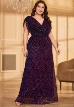 Plus Size Long Formal Party Evening Gown Elegant Pleated Mesh Shiny See-Through Prom Dress Plus Size Long Formal Party Evening Gown Elegant Pleated Mesh Shiny See-Through Prom Dress