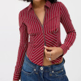 Autumn Winter Women's Casual Striped Long Sleeve Shirt