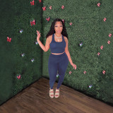 Women's Sexy Vest Outdoor Sports Tight Fitting Yoga Pants Two-Piece Set