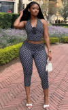 Women's Autumn Sleeveless V-Neck Halter Neck Low Back Tight Fitting Casual Two-Piece Pants Set