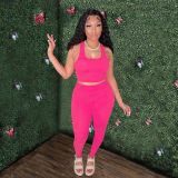 Women's Sexy Vest Outdoor Sports Tight Fitting Yoga Pants Two-Piece Set