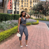 Women's Autumn Sleeveless V-Neck Halter Neck Low Back Tight Fitting Casual Two-Piece Pants Set