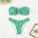 Women Printed Beach Surfing Sexy Two-Piece Bikini Swimsuit