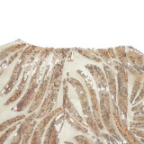 Plus-size African Women sequined lace long-sleeved V-neck elegant maxi dress