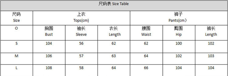 Women's Autumn Solid Elastic Waist Long Sleeve Pocket Sport Pants Set