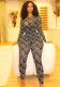 Women's Mesh Tight Fitting Printed Round Neck Stretch Casual Long Sleeve Two Piece Pants Set