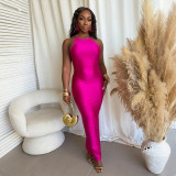 Women's Slim Fit Halter Neck Solid Color Long Dress