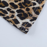 Women Fall Square Neck Leopard Print Dress
