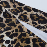Women Fall Square Neck Leopard Print Dress