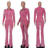 Women's Solid Velvet Casual Zip Top Wide Leg Pants Two Piece Tracksuit
