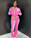 Women's Solid Velvet Casual Zip Top Wide Leg Pants Two Piece Tracksuit