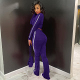 Women's Solid Velvet Casual Zip Top Wide Leg Pants Two Piece Tracksuit