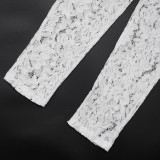 Autumn Sexy Lace See-Through Tight Fitting Long Sleeve Zipper Jumpsuit