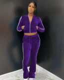 Women's Solid Velvet Casual Zip Top Wide Leg Pants Two Piece Tracksuit