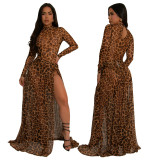 Women Sexy Leopard Print See-Through Bodysuit and Slit Skirt Two-Piece Set