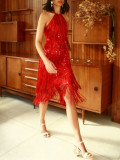 Women Party/Wedding Fringed Sequin Halter Neck Dress