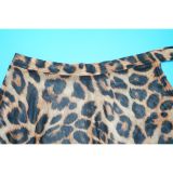 Women Sexy Leopard Print See-Through Bodysuit and Slit Skirt Two-Piece Set