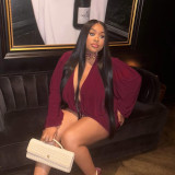 Women Fall Solid Casual V-Neck Long-Sleeved Top and Mini Skirt Two-Piece Set