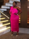 Elegant Solid Color Slash Shoulder Big Bow Fringe Formal Party Dress