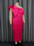 Elegant Solid Color Slash Shoulder Big Bow Fringe Formal Party Dress
