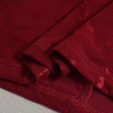 Summer Women's Low Back Lace-Up Mesh Jacquard Off Shoulder Bodycon Dress