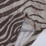 Autumn Women's Zebra Print Long Sleeve See-Through Leopard Print Shirt