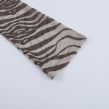 Autumn Women's Zebra Print Long Sleeve See-Through Leopard Print Shirt