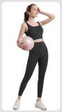 Women's Tight Fitting High-Waisted Butt Lift Seamless Yoga Pants