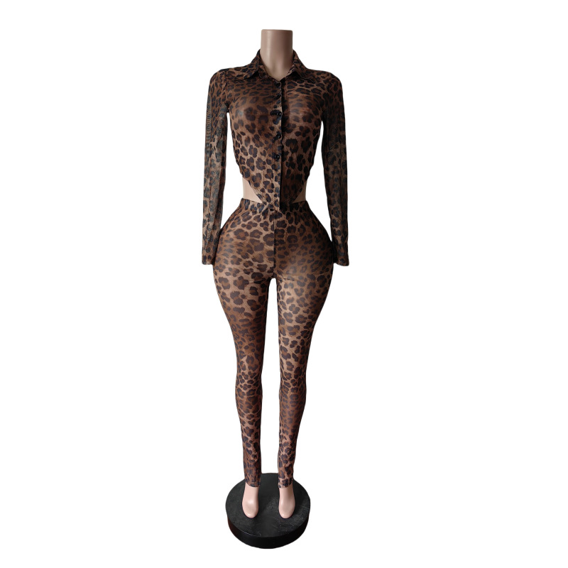 Women Stretch Leopard Mesh Print Top and Slit Pant Two-Piece Set