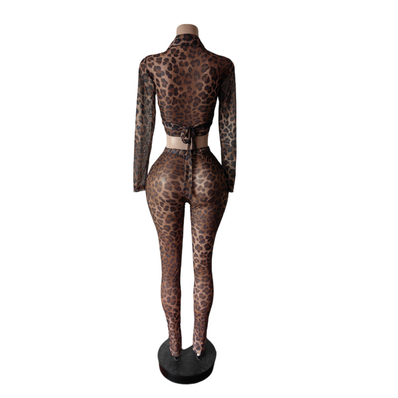 Women Stretch Leopard Mesh Print Top and Slit Pant Two-Piece Set